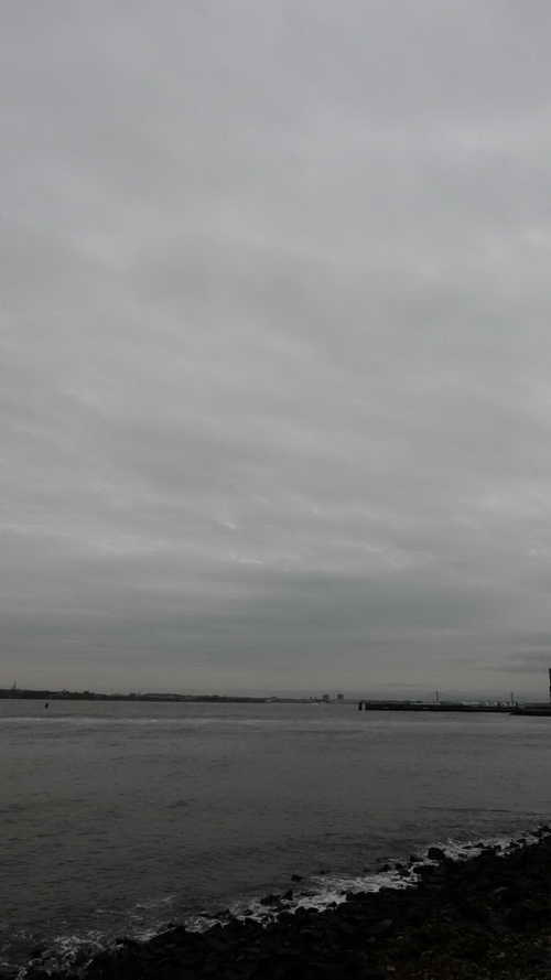 NYC_2020-01-31 16-19-11_P1090055
